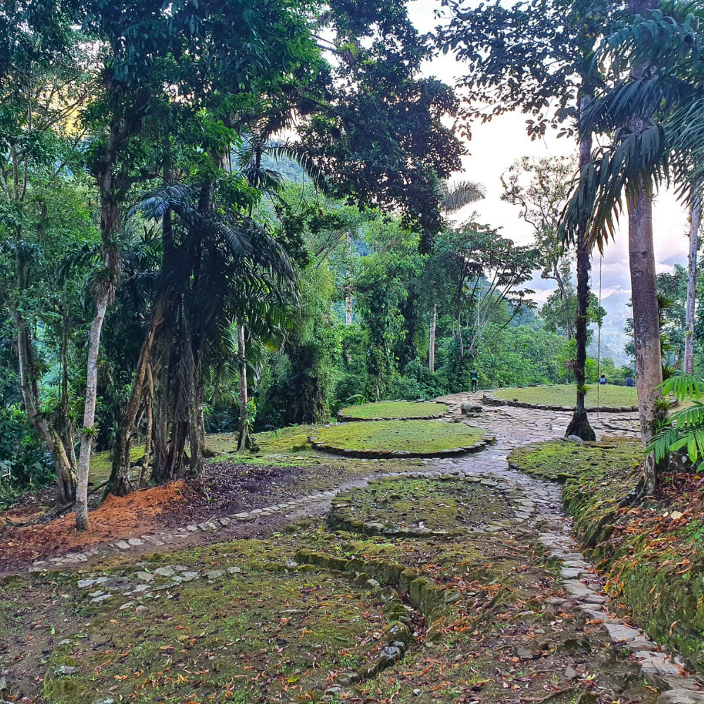 Mejor Época para Visitar la Ciudad Perdida