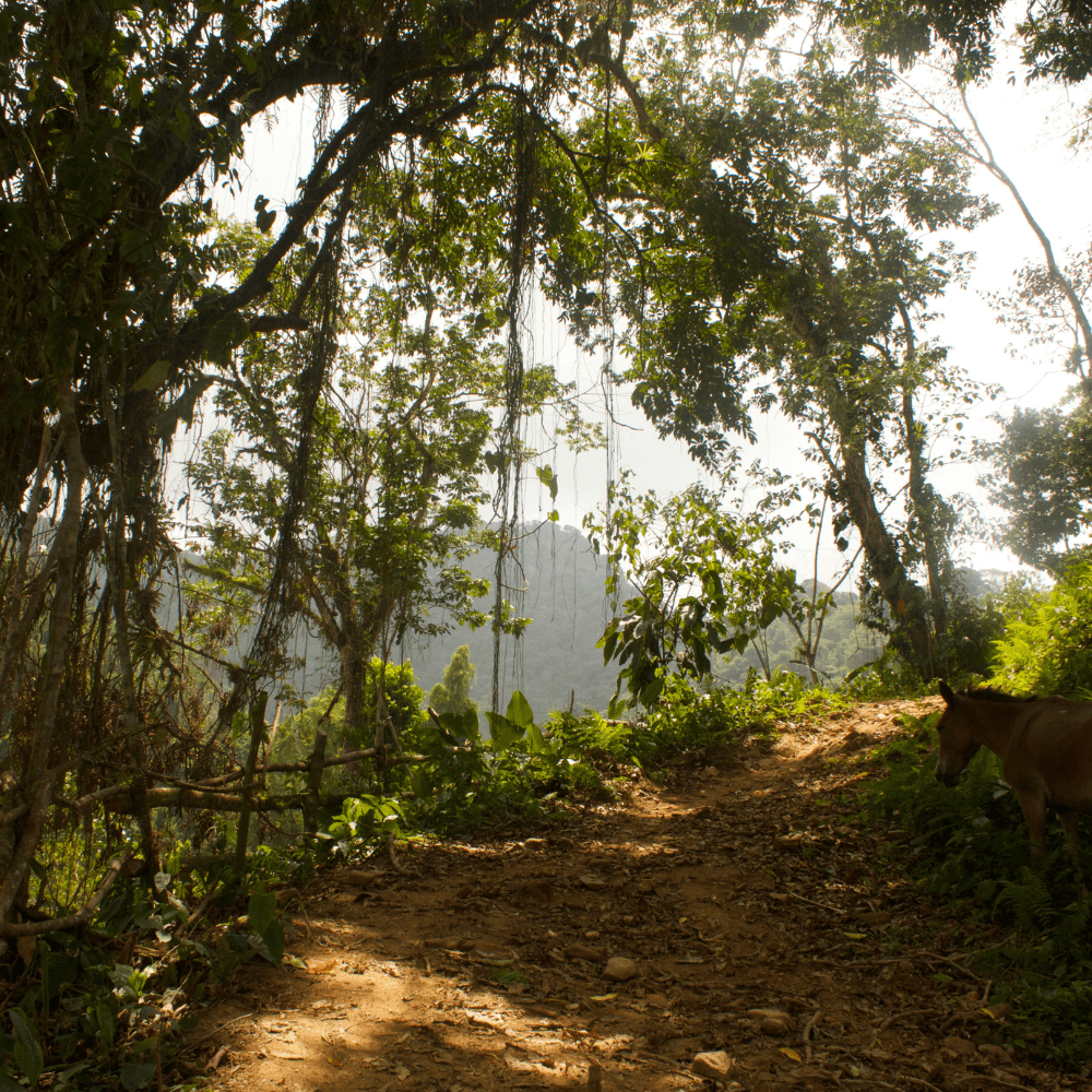 Hikes in Colombia