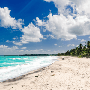 What to do in colombia