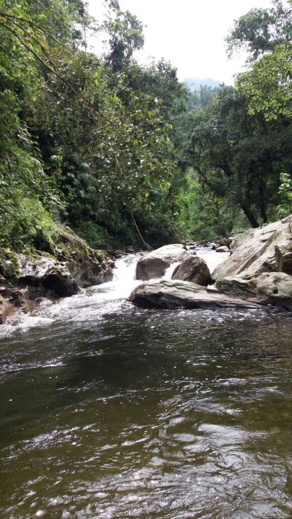 tour-ciudad-perdida-tour-expotur-lost-city-trek