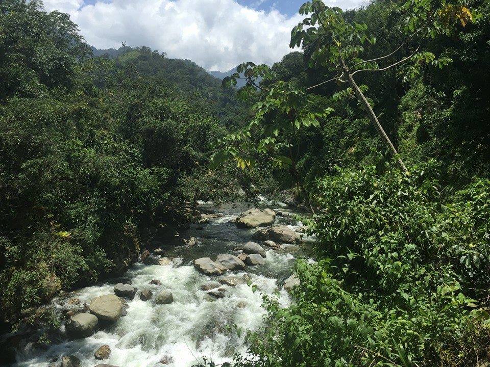 tour-ciudad-perdida-tour-expotur-lost-city-trek