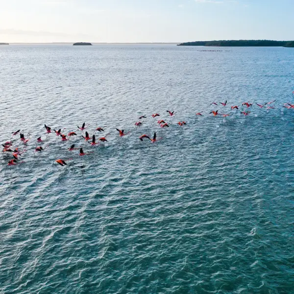 24 Tour Punta Gallinas 3 Días en la Alta Guajira