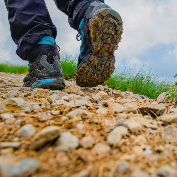 Lost City Trek 5 days tour Excursión Ciudad Perdida 5 días