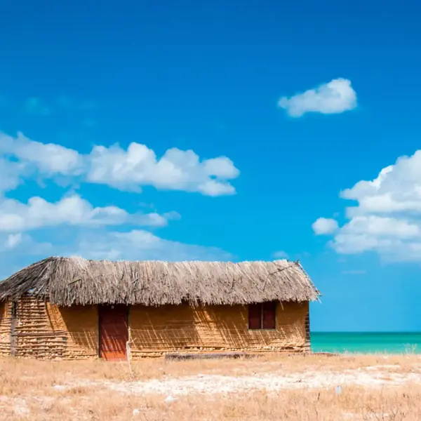 cabo de la vela tour