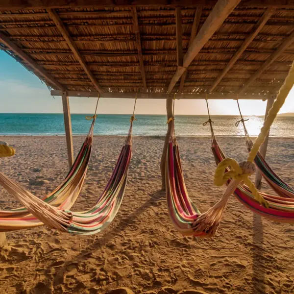 cabo de la vela tour