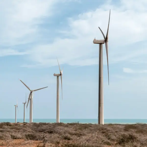 cabo de la vela tour