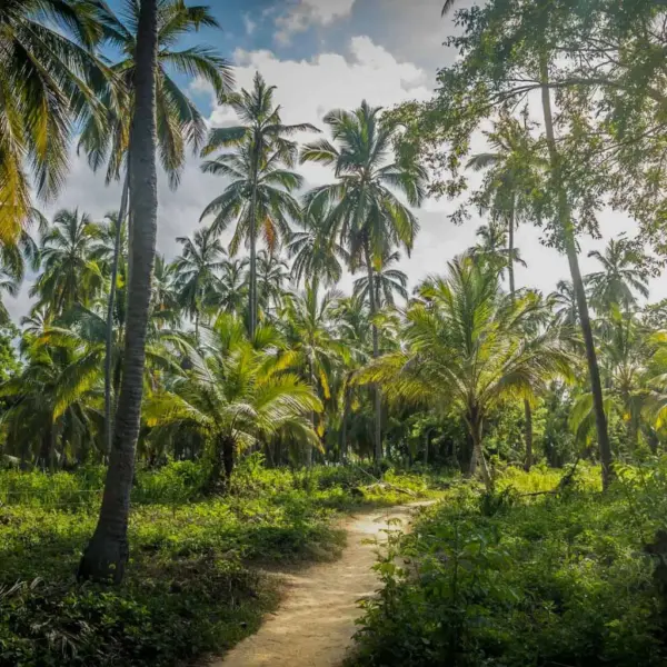 cabo san juan tayrona