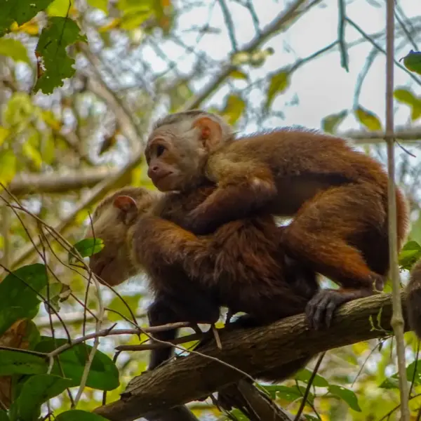 cabo san juan tayrona