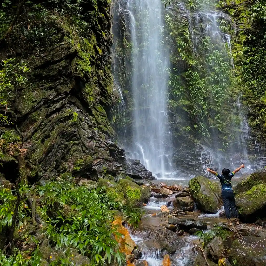 excursion a la ciudad perdida