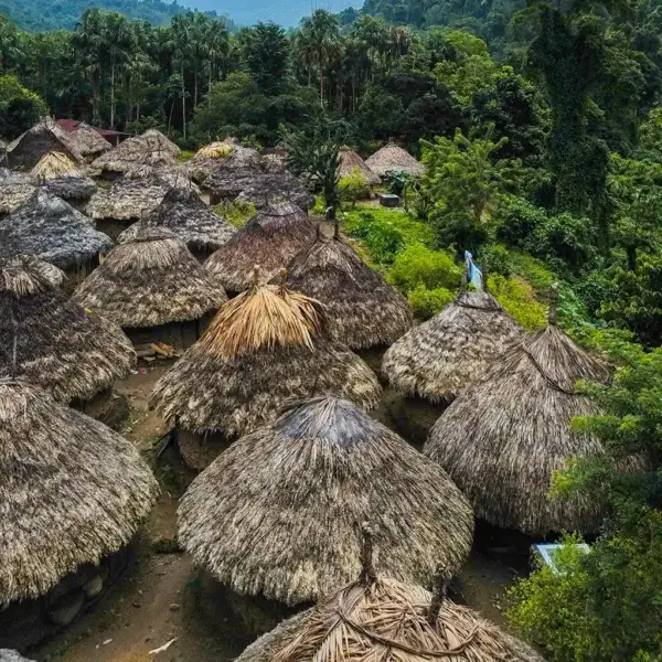 lost city tour colombia Recorrido de 5 días a la Ciudad Perdida lost city tour colombia Recorrido de 5 días a la Ciudad Perdida