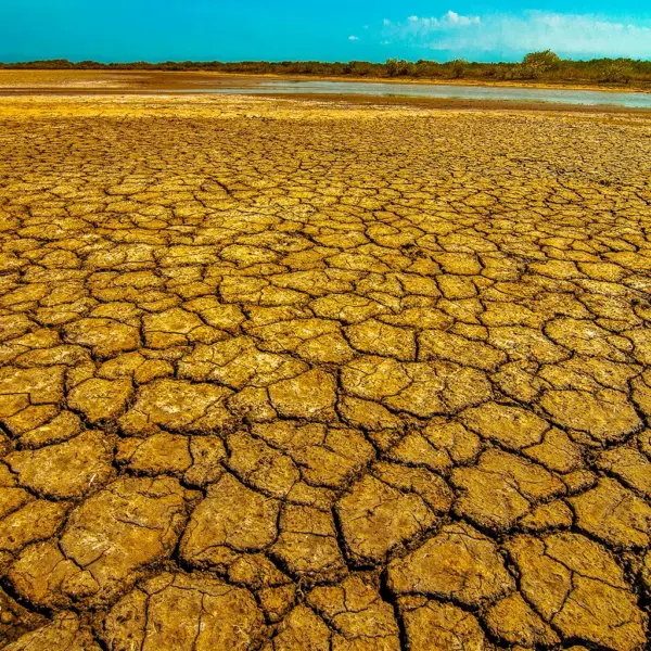 punta gallinas 15 Tour a la Guajira: 4 días de Excursión