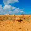punta gallinas 20 Tour a la Guajira: 4 días de Excursión