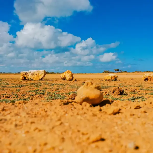 punta gallinas 20 Tour a la Guajira: 4 días de Excursión