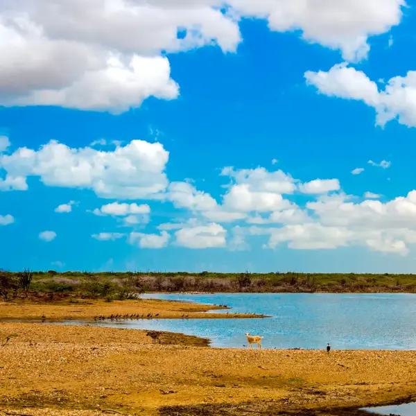 punta gallinas 9 Tour a la Guajira: 4 días de Excursión