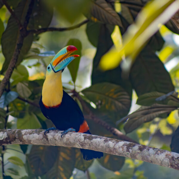 tour-minca-santa-marta-colombia-waterfalls-1 minca santa marta