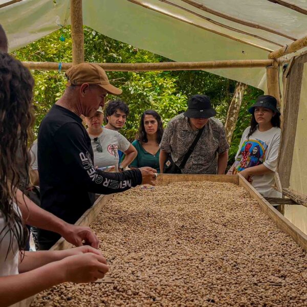 tour-minca-santa-marta-colombia-waterfalls-8 minca santa marta