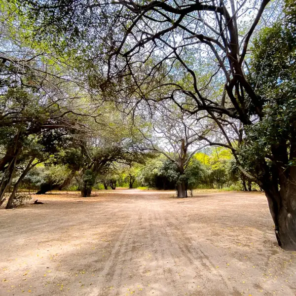 gairaca 5 Playa Gairaca: Parque Tayrona Santa Marta